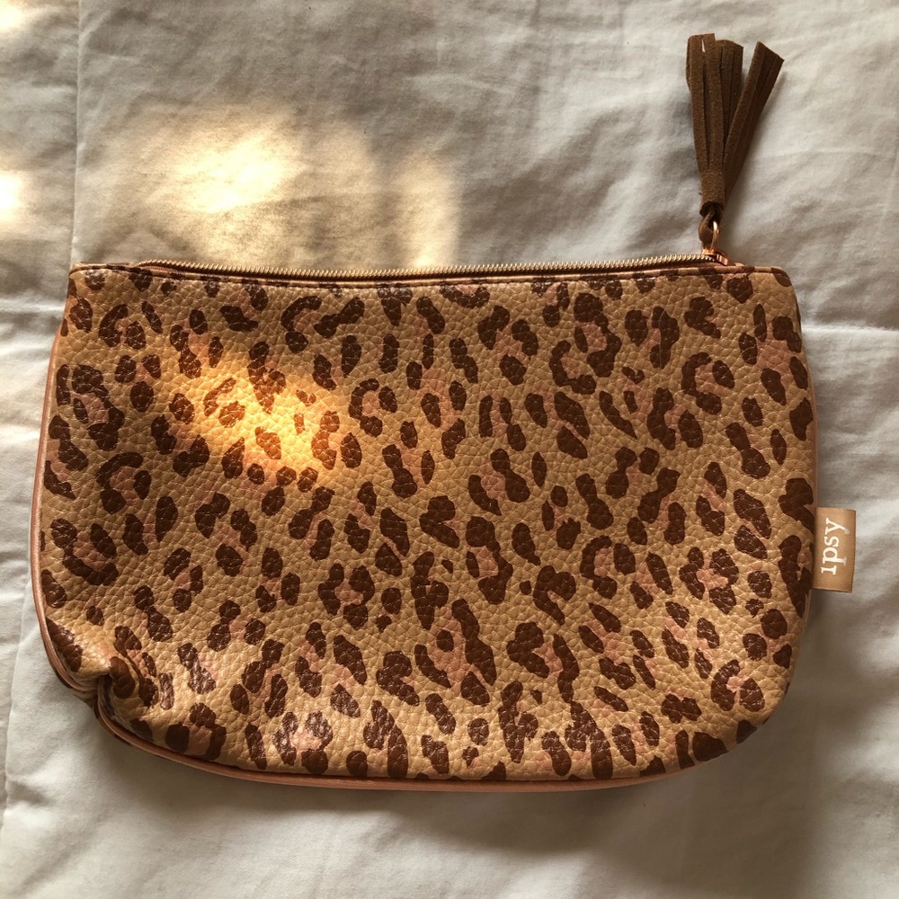 Ipsy makeup/travel bag